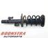 Suspension Strut FORD Galaxy (WA6), FORD S-Max (WA6)