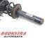 Suspension Strut AUDI A5 Sportback (8TA), AUDI A4 Avant (8K5, B8)