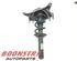 Suspension Strut AUDI A5 Sportback (8TA), AUDI A4 Avant (8K5, B8)