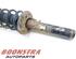 Suspension Strut VW PASSAT (362)