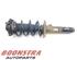 Suspension Strut VW PASSAT (362)