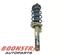 Suspension Strut VW PASSAT (362)