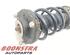 Federbein links vorne VW Passat B7 362 3AA413031M P21050122