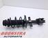 Suspension Strut RENAULT CLIO V (B7_)