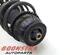 Suspension Strut RENAULT CLIO V (B7_)