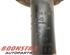 Suspension Strut AUDI A4 Avant (8ED, B7)