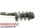 Suspension Strut FORD C-MAX (DM2), FORD FOCUS C-MAX (DM2)