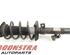 Suspension Strut FORD C-MAX (DM2), FORD FOCUS C-MAX (DM2)