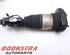 Suspension Strut BMW 5 Touring (G31)