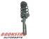 Suspension Strut SKODA KODIAQ (NS7, NV7, NS6)