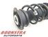 Suspension Strut SKODA KODIAQ (NS7, NV7, NS6)