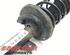 Suspension Strut FORD FIESTA VI (CB1, CCN)