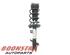 Suspension Strut FORD FIESTA VI (CB1, CCN)