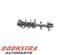 Suspension Strut RENAULT CAPTUR I (J5_, H5_), RENAULT CLIO IV (BH_)