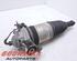 Suspension Strut PORSCHE CAYENNE (92A)