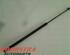 Gas Spring AUDI A3 Sportback (8VA, 8VF)