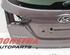 Boot (Trunk) Lid HYUNDAI ix20 (JC)