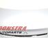 Boot (Trunk) Lid MERCEDES-BENZ E-CLASS (W213)