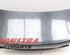 Boot (Trunk) Lid BMW 5 (F10)