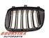 Radiateurgrille BMW X3 (F97, G01)