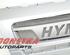 Radiateurgrille FIAT Ducato Bus (250, 290)