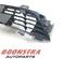 Radiateurgrille RENAULT CLIO V (B7_)