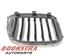 Radiateurgrille BMW X3 (G01, F97)