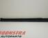 Sill Trim MERCEDES-BENZ B-Klasse (W245)