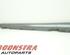 Sill Trim MERCEDES-BENZ A-Klasse (W176)