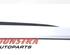 Trim Strip Bumper AUDI E-TRON (GEN)