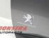 Door PEUGEOT 5008 II (MC_, MJ_, MR_, M4_)