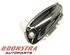 Door Handle PORSCHE PANAMERA (970)