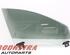 Door Glass TESLA MODEL S (5YJS)