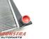 Radiator MINI Mini Clubman (R55), MINI Mini (R56), MINI Mini Clubvan (R55), MINI Mini Countryman (R60)