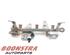 Petrol Fuel Rail RENAULT Captur I (H5, J5), RENAULT Clio IV (BH)