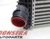 Intercooler FORD TRANSIT V363 Bus (FAD, FBD), FORD TRANSIT V363 Van (FCD, FDD)