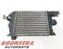 Intercooler RENAULT CAPTUR I (J5_, H5_), RENAULT CLIO IV (BH_)