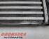 Intercooler NISSAN QASHQAI II SUV (J11, J11_)