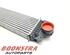 Interkoeler tussenkoeler FORD GALAXY III (CK), FORD S-MAX (CJ, WA6)