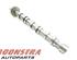 Camshaft AUDI A6 (4F2, C6)