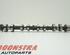 Camshaft MAZDA CX-5 (KE, GH)