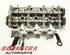 Cylinder Head AUDI Q5 (8RB)