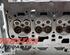 Cylinder Head BMW 5 Touring (G31)