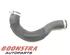 Charge Air Hose FORD TRANSIT V363 Bus (FAD, FBD), FORD TRANSIT V363 Van (FCD, FDD)