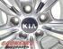 Steel Rim KIA VENGA (YN)