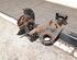 Axle MG MG ZS SUV, MG (SAIC) ZS