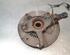 Stub Axle RENAULT CLIO V (B7_)