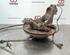 Stub Axle LAND ROVER FREELANDER 2 (L359)