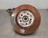 Stub Axle MERCEDES-BENZ A-CLASS (W177)