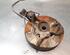 Stub Axle SUZUKI SWIFT V (AZ)